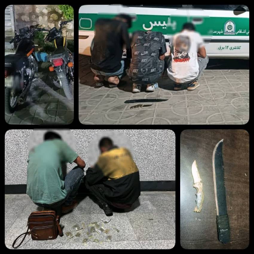 طرح ارتقاء امنيت اجتماعي در پارکهاي داراب اجرا شد